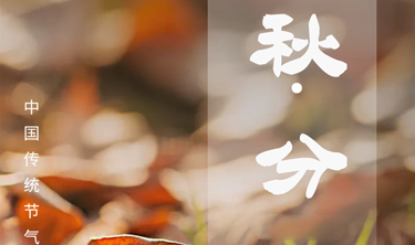 welcome-���ֲ�