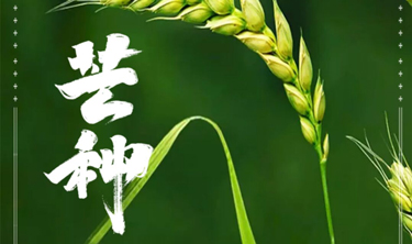 welcome-���ֲ�