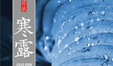 welcome-���ֲ�