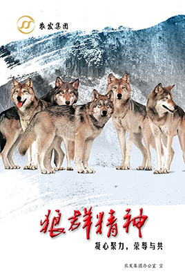 ��Ⱥ����